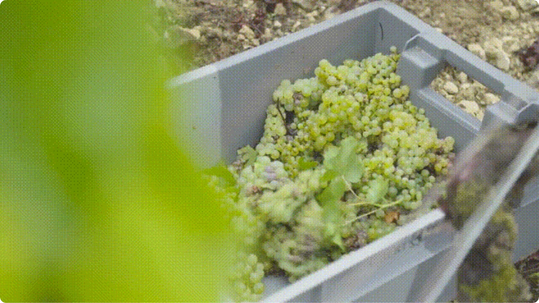 美好酩胜