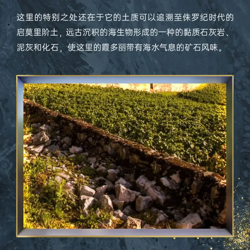 美好酩胜